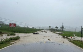 Rà soát, xử lý hệ thống tiêu thoát nước trên cao tốc, quốc lộ trọng điểm