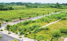 Sang tên đất thuê do sáp nhập có được miễn lệ phí trước bạ?