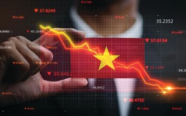 Cải cách tổng thể thị trường tài chính Việt Nam