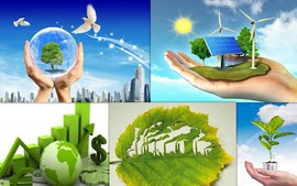 Tổ chức và hoạt động của Hội đồng quốc gia về phát triển bền vững