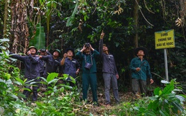 Những 'vành đai' bảo vệ môi trường mang tên cộng đồng