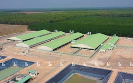 Đất nông nghiệp chưa sổ đỏ có được xây dựng trang trại?