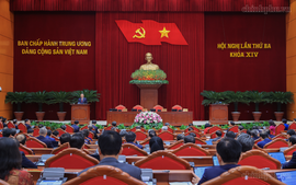 Kế hoạch của Bộ Chính trị thực hiện Nghị quyết số 21-NQ/TW về quan điểm sửa đổi Luật Đất đai