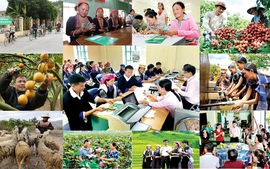 Giải thể BCĐ Trung ương thực hiện Nghị quyết số 70/NQ-CP về chính sách xã hội