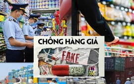 Quy chế tổ chức, hoạt động của BCĐ quốc gia chống buôn lậu, gian lận thương mại và hàng giả
