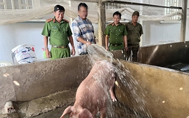Từ những khoản vay nghĩa tình đến hành trình làm lại cuộc đời