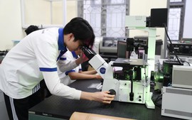Nghị định 179 'hút' người học vào ngành khoa học, công nghệ chiến lược