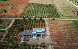 Chuyển mục đích một phần thửa đất có phải tách thửa?