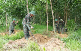 Quảng Trị đẩy nhanh tiến độ xác minh, tìm kiếm mộ tập thể liệt sĩ khu vực Câu Nhi