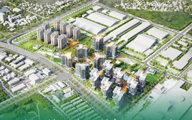 Đẩy mạnh phát triển nhà ở xã hội và nhà ở cho thuê