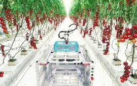 Điều kiện thành lập khu nông nghiệp ứng dụng công nghệ cao