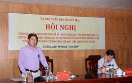 Từ 1.380 ha đến mục tiêu 54.680 ha: Cà Mau tìm lời giải mở rộng diện tích lúa chất lượng cao