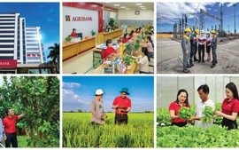 Tăng vốn điều lệ - đòn bẩy để Agribank tiếp tục dẫn dắt dòng vốn cho nền kinh tế