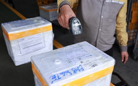 Giao nhiệm vụ vận chuyển mẫu sinh phẩm ADN trong chiến dịch 500 ngày đêm cho Bưu điện Việt Nam