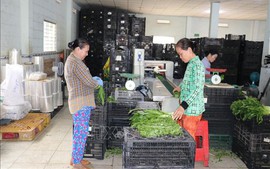Phát huy hiệu quả tín dụng chính sách, tạo sinh kế bền vững cho người dân