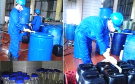 Cá nhân vi phạm hành chính trong lĩnh vực hóa chất và vật liệu nổ công nghiệp có thể bị phạt tới 100 triệu đồng