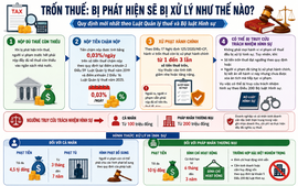 Minh bạch sổ kế toán giúp doanh nghiệp tránh nguy cơ trốn thuế
