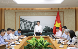 Tháo gỡ vướng mắc về mã số vùng trồng, xây dựng thương hiệu sầu riêng Việt Nam