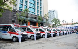 Chỉ đạo, điều hành của Chính phủ, Thủ tướng Chính phủ ngày 10/8/2026 (1)