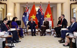 Tổng Bí thư, Chủ tịch nước Tô Lâm hội kiến Toàn quyền Australia
