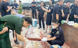 Hải quan bàn giao cho Công an vụ phát hiện 1,2 tấn ngà voi từ châu Phi
