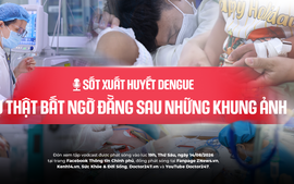 Sốt xuất huyết Dengue: Sự thật bất ngờ đằng sau những khung ảnh