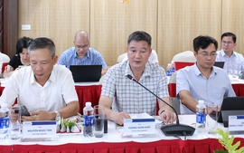 EVNNPT và EVNNPC tăng cường phối hợp đầu tư xây dựng các dự án lưới điện