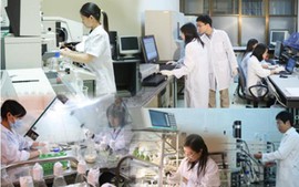 Chỉ đạo, điều hành của Chính phủ, Thủ tướng Chính phủ nổi bật tuần 8-14/8/2026