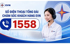 EVN chính thức vận hành tổng đài 1558 từ ngày 15/8