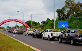 Phân bón Cà Mau góp phần đưa sầu riêng Đắk Lắk khẳng định vị thế trên thị trường nông sản