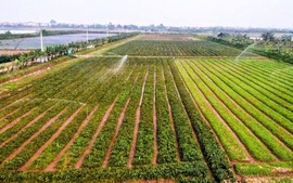 Hà Nội: Xây dựng dữ liệu đất đai đi trước một bước, tạo nền tảng quản trị hiện đại
