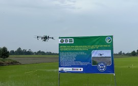 Nông dân phải là trung tâm khi nhân rộng Đề án 1 triệu ha lúa chất lượng cao, phát thải thấp