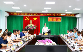 Vĩnh Long: Đối ngoại nhân dân đưa gần 29 tỷ đồng nguồn lực quốc tế về cộng đồng