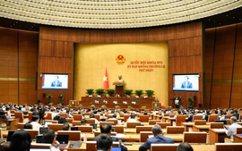 Cần bảo đảm người thu nhập thấp có khả năng mua, thuê nhà ở xã hội