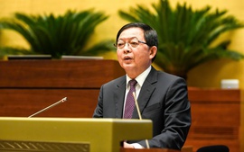 Tán thành sửa đổi, bổ sung 10 luật về cải cách TTHC, điều kiện kinh doanh lĩnh vực nông nghiệp và môi trường