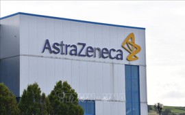 AstraZeneca Việt Nam chủ động xin thu hồi chứng nhận kinh doanh dược để chuyển đổi cơ sở hạ tầng