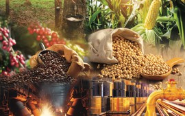 THỊ TRƯỜNG HÀNG HÓA: MXV-Index tăng 4,3%, lên mức cao nhất trong 3 tháng
