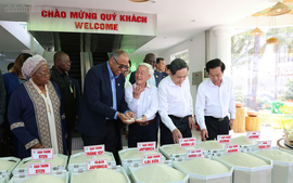 Chủ tịch Quốc hội Côte d'Ivoire tìm hiểu công nghệ chế biến gạo Việt Nam