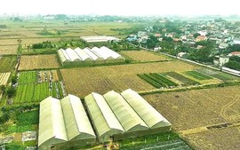 Điều kiện chuyển mục đích sử dụng đất sau dồn điền đổi thửa