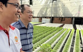 Mở rộng cánh cửa sản xuất rau an toàn cho nông hộ nhỏ