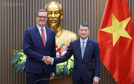 Thủ tướng tiếp Đại sứ Pháp: Pháp luôn coi trọng vai trò, vị thế ngày càng cao của Việt Nam