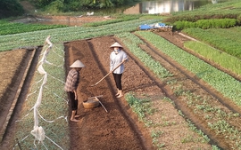 Điều kiện hỗ trợ đào tạo nghề khi thu hồi đất nông nghiệp