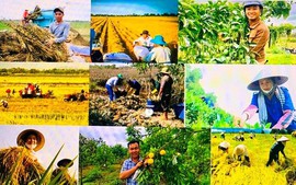 Đề xuất chính sách phát triển kinh tế nông thôn, đa dạng hóa sinh kế, việc làm