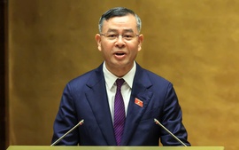 Đẩy mạnh giảm chi phí và cắt giảm thủ tục hành chính trong ngành hải quan
