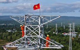 Điện lực miền Nam: Vượt khó để "về đích" 3 công trình trọng điểm phục vụ APEC 2027