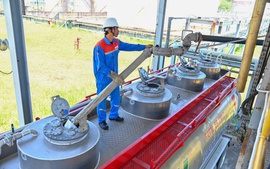 Sản xuất ethanol cho xăng E10: Nhà máy chuyển đổi nguyên liệu, hướng tới 125% công suất