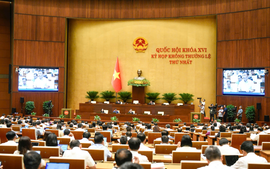 Sửa đổi danh mục không đơn thuần là cắt giảm số lượng ngành, nghề đầu tư kinh doanh có điều kiện