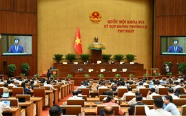 Cắt giảm, đơn giản hóa thủ tục hành chính, điều kiện kinh doanh trong lĩnh vực nông nghiệp và môi trường