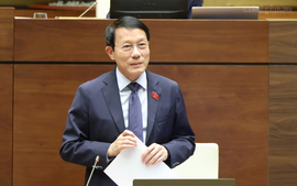 Tạo cơ chế, chính sách đặc thù để xử lý vi phạm pháp luật liên quan đến một số lĩnh vực
