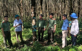 Quy định về nguyên tắc kết hợp an ninh với kinh tế - xã hội